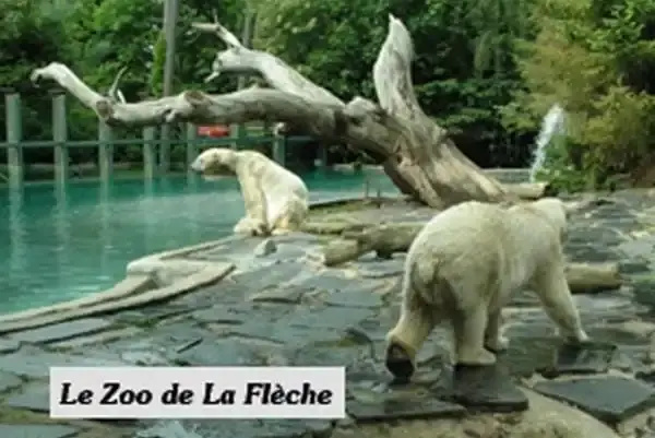 Afficher la photo 6 — LOGIS L'Auberge Alsacienne