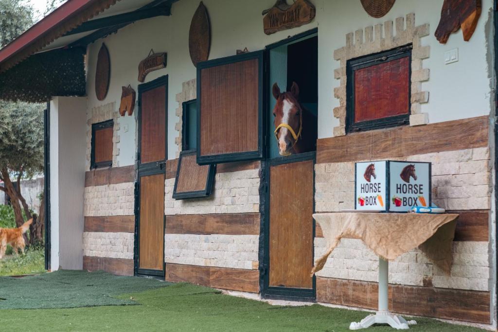 Pamukkale Apollon Garden