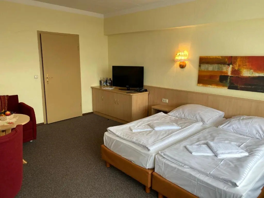 Standard Double room (full double bed)