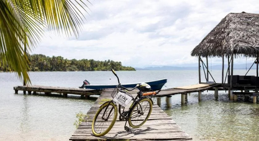 Stay Bocas - Général