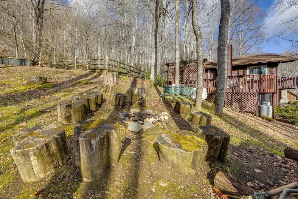 Dog-friendly Cabin 6 Mi to Cataloochee Skiing!