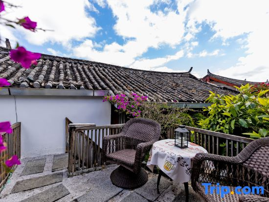 ‌The Secret Garden of Cats & Wolf's Den | Barista Courtyard Cafe & Inn (Wuyi Street)