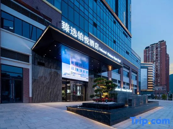 Selected Platinum Hyatt Hotel
