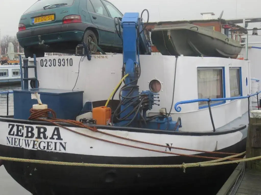 Botel Zebra