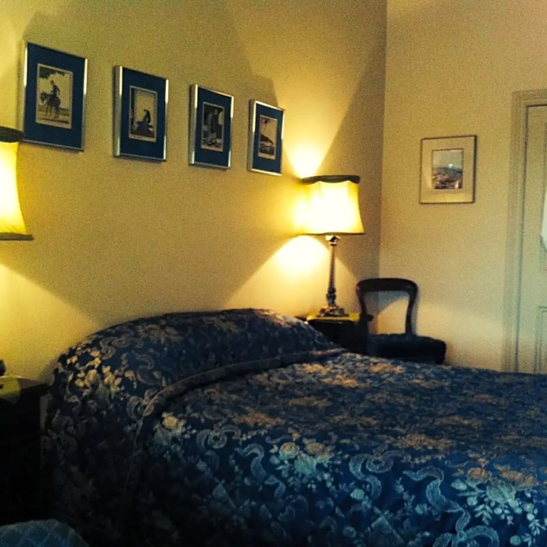 觀景標準雙人房，配有雙人床