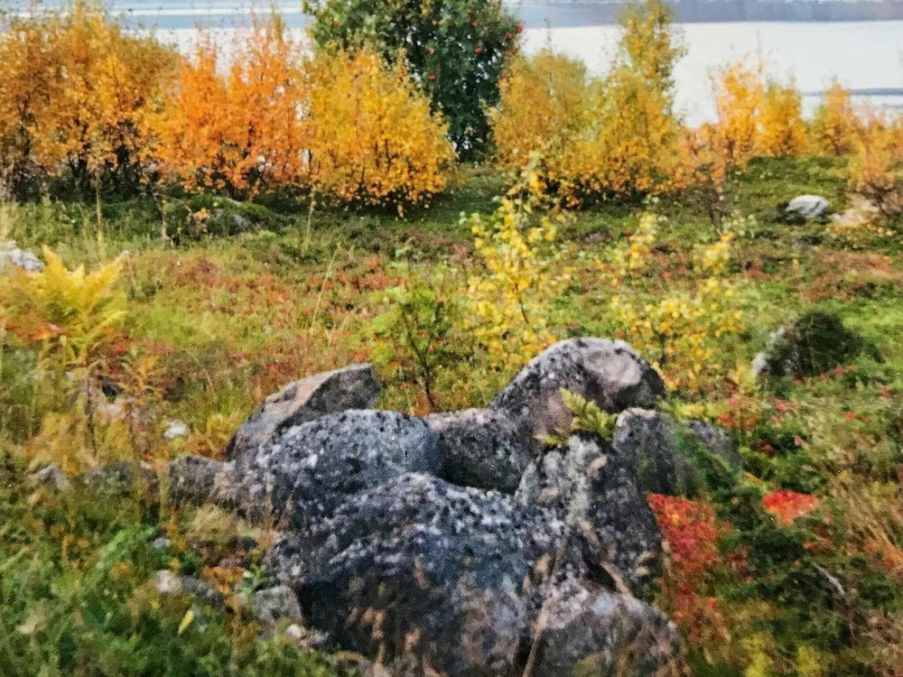 Holiday Home in Alta — фото 2