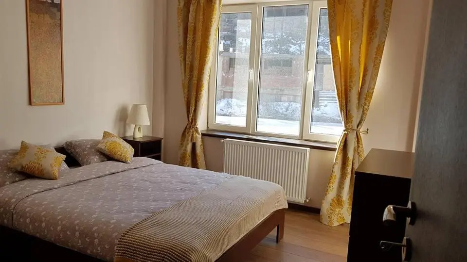 Prahova Valley Apartment