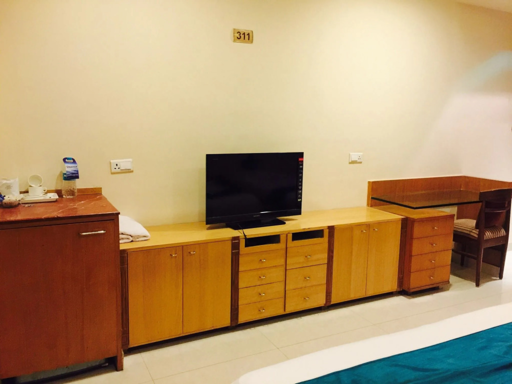 The Vinayak — фото 3