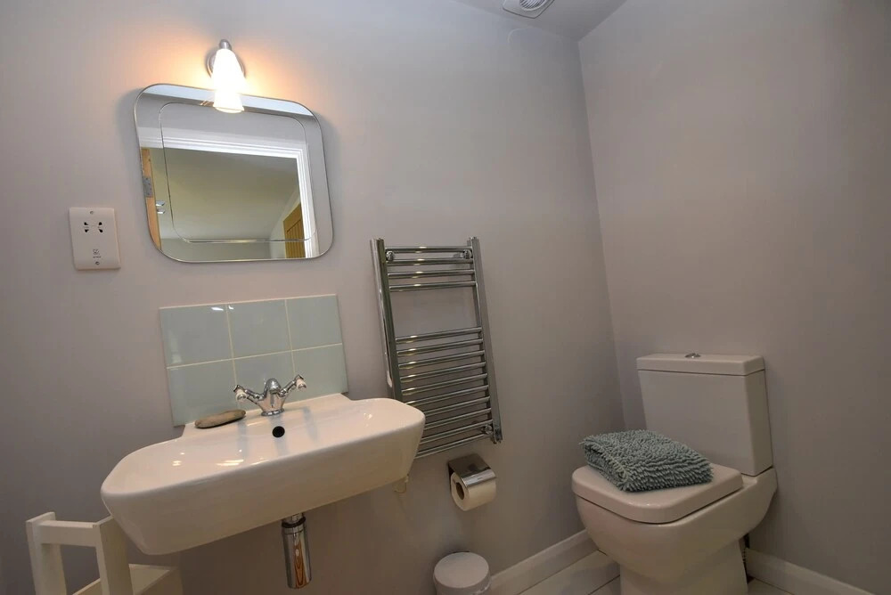 Bluebells - фото 7