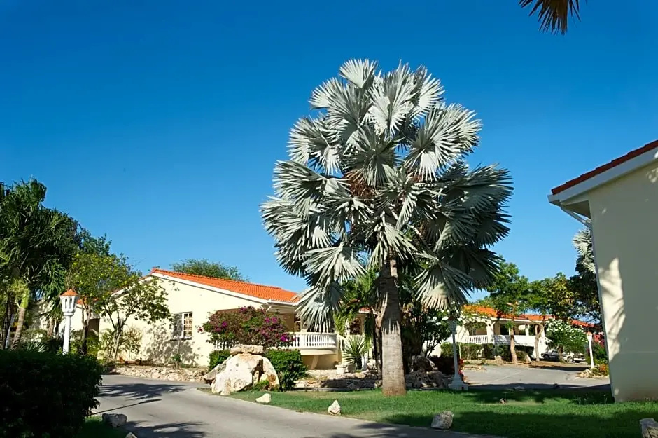 Sonesta Hotels & Resorts Livingstone Curacao - Chambres