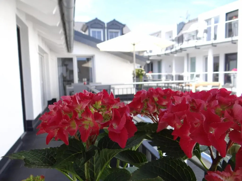 Ferienapartments Am Steinfelder Hof - Chambres