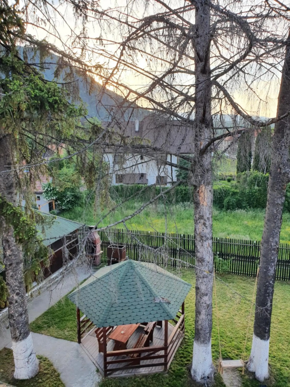 Hotel photo 36