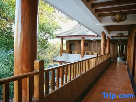 Balcony & Terrace