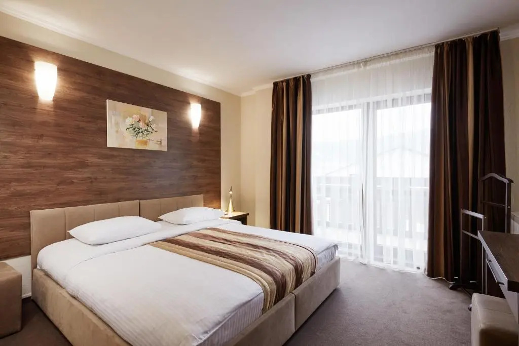 Standard Double room with mountain view (full double bed)