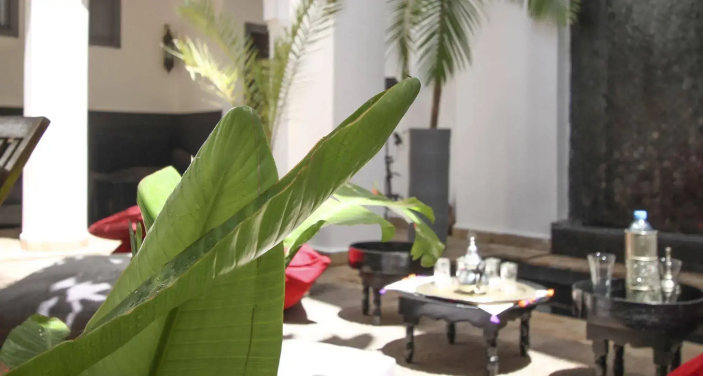 Hotel photo 17