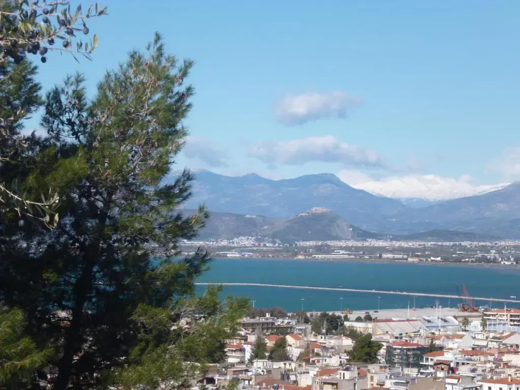 Hotel Vasilis - Chambres