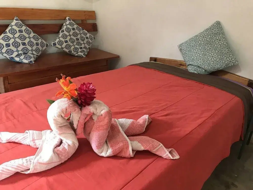 Ayahuaska - фото 2