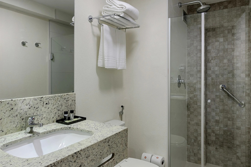 Hotel Intercity Manaus - Général
