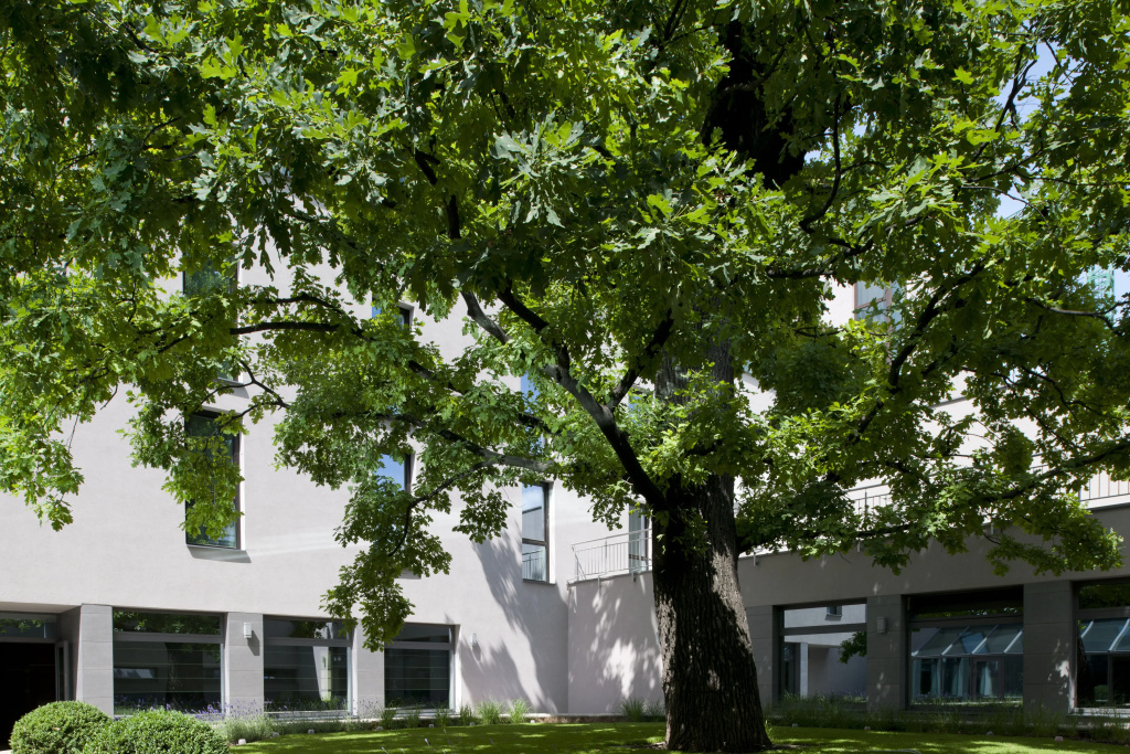 Holiday Inn Trnava by IHG - Général