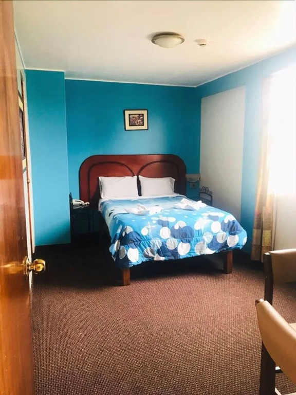 Paradise Hotel Benavides - фото 7