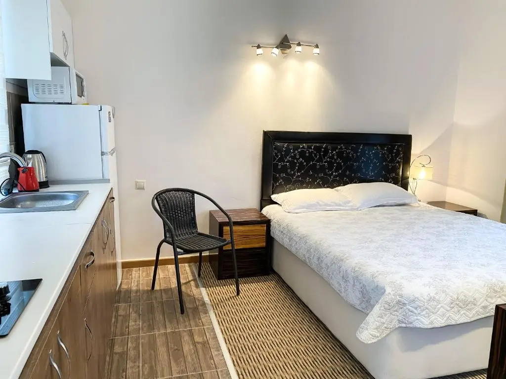 Standard Double room (full double bed)