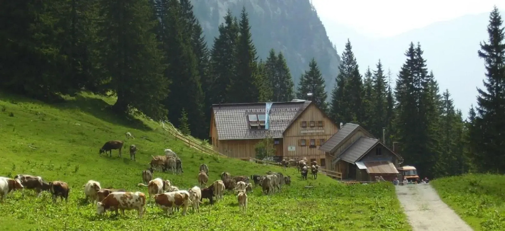 Hotel Tannenhof - Général