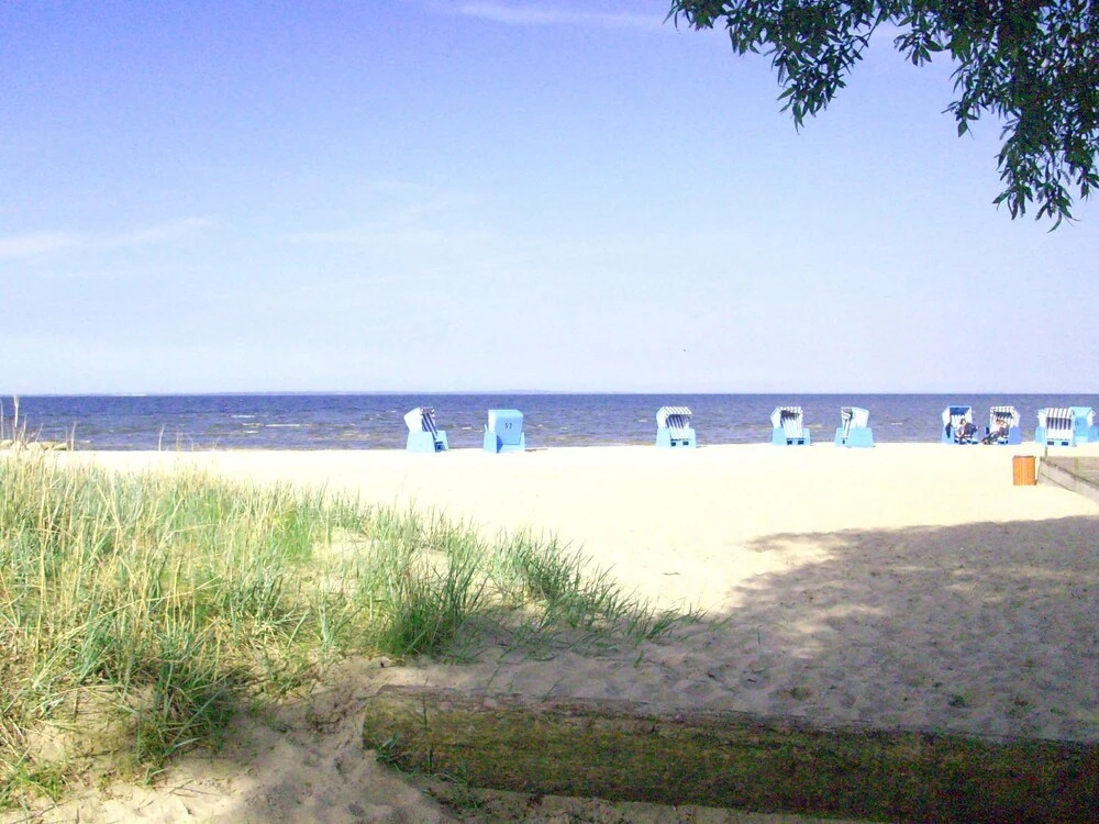 Beach & Waterfront