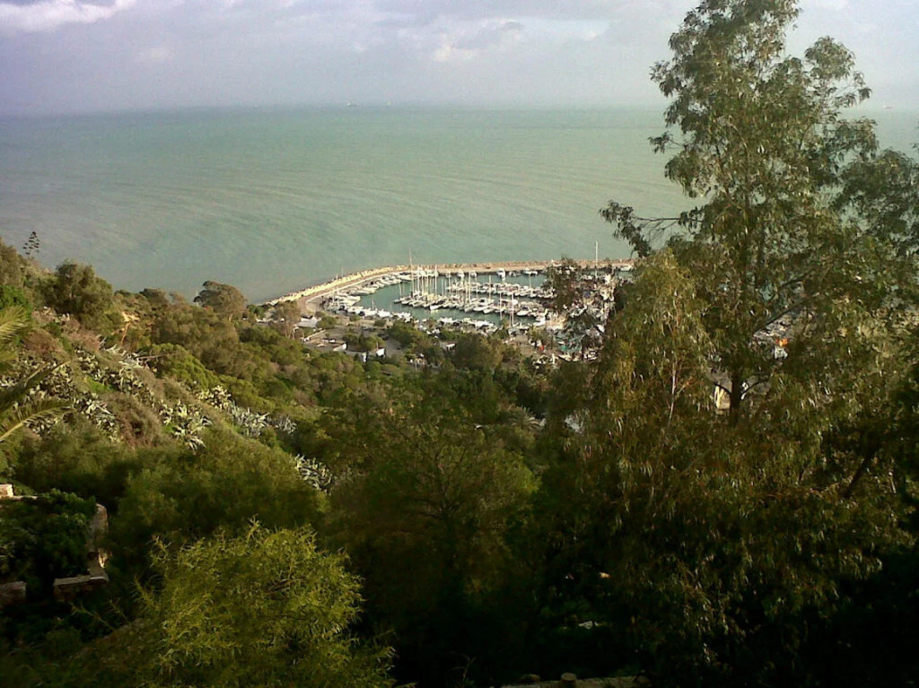 Beach & Waterfront