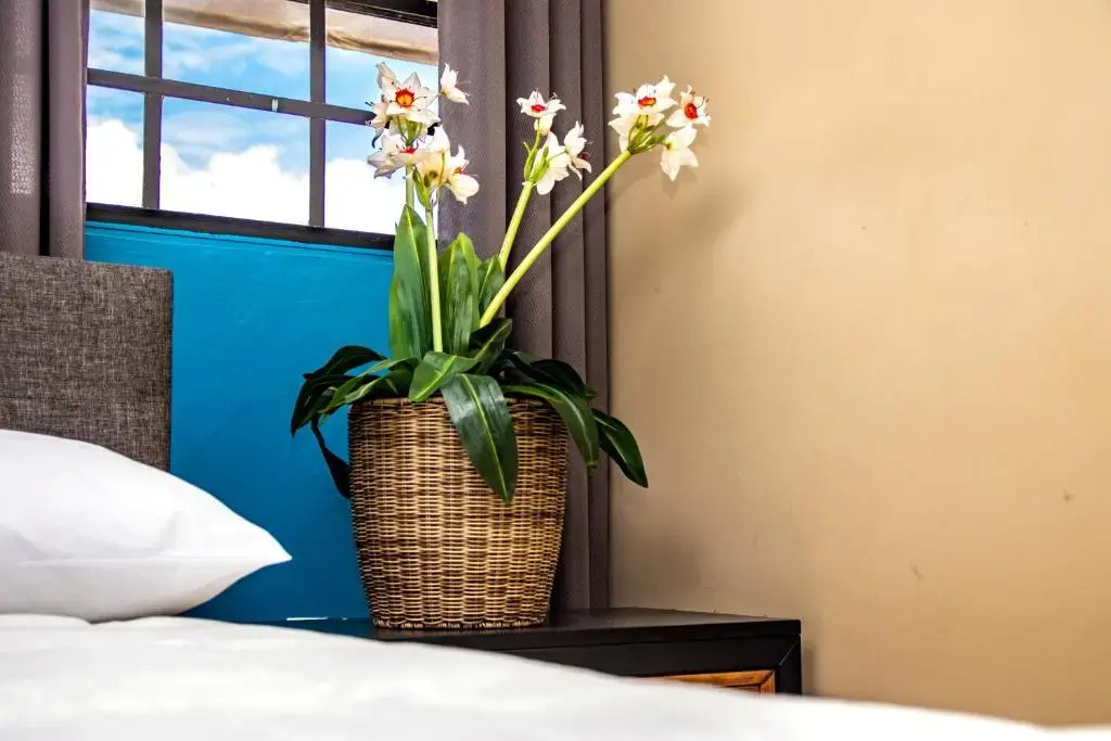 Отель CityLife Apartments in Historic Willemstad - 2 bedroom apartment - K, фото 11