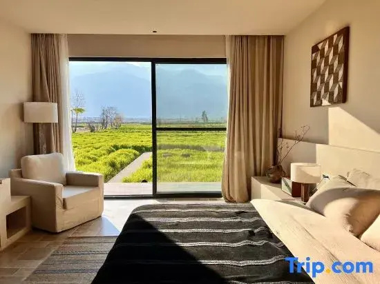 Standard Double room with mountain view (full double bed)