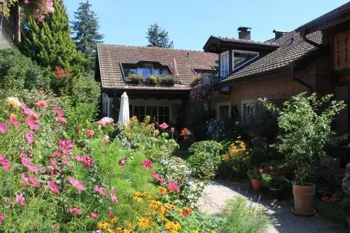 Hotel Zur Krone - Général