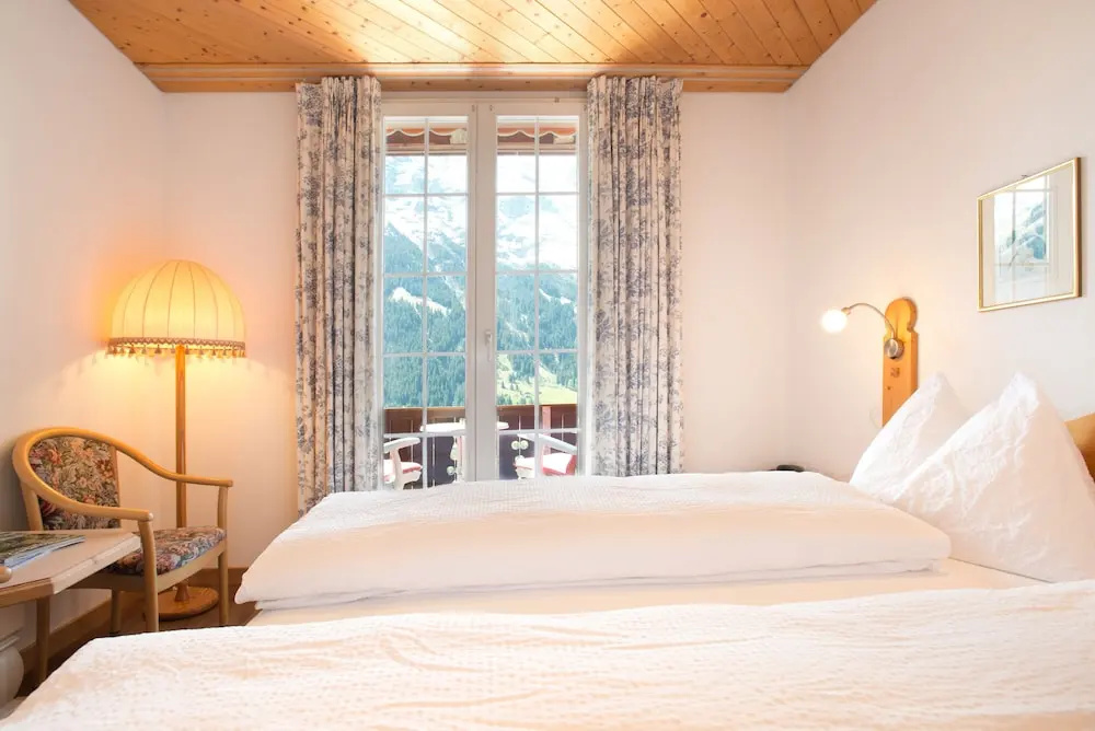 Standard Double room with mountain view (full double bed)