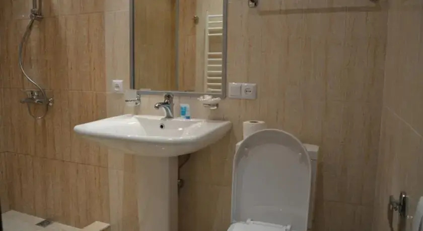 Saryan 40 — фото 2