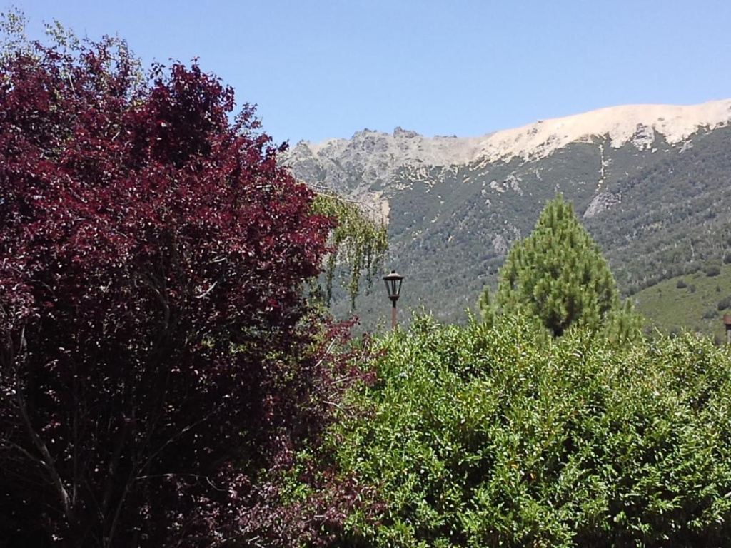 Hotel photo 32