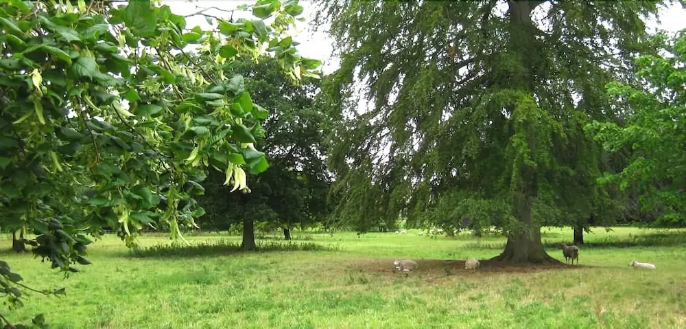 Apple Tree Cottages