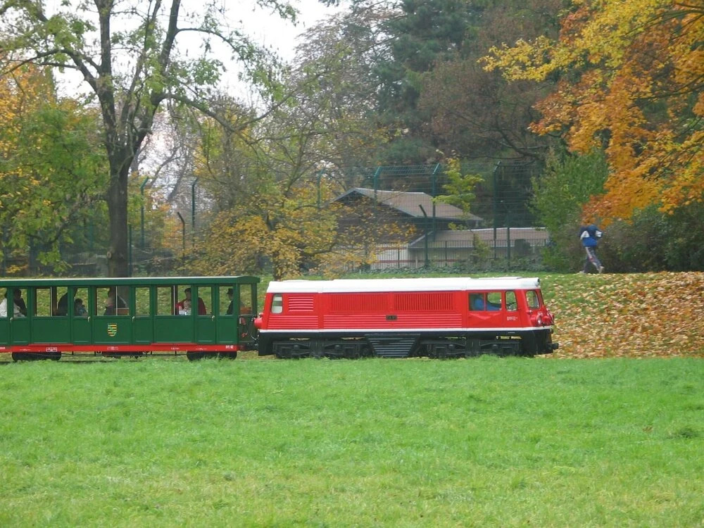 Image 12