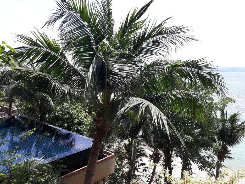 Blue Hill Resort - Général
