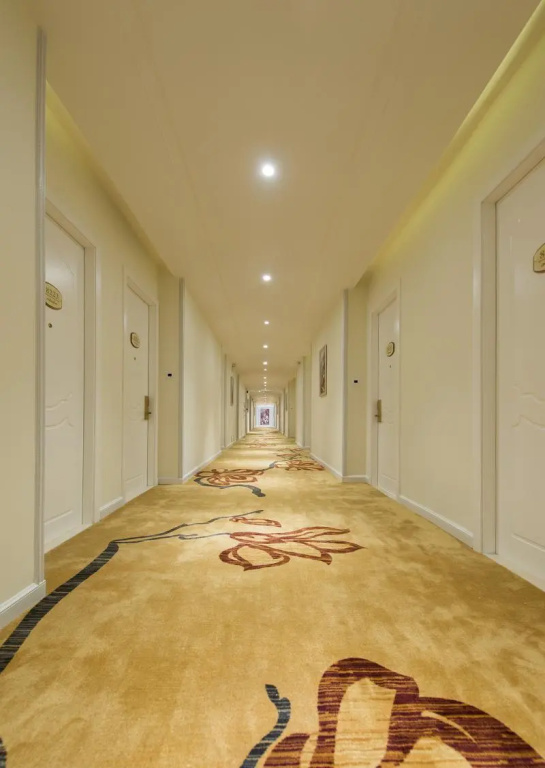 Vienna 3 Best Hotel Shenzhen Shazui Road - Général