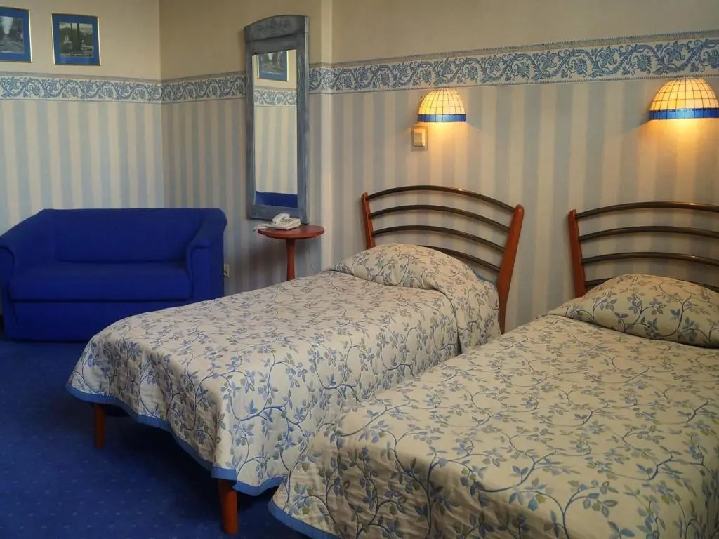 Superior Double room (twin beds)
