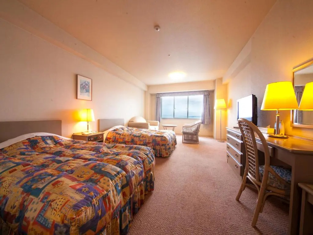 Economy Double room (twin beds)