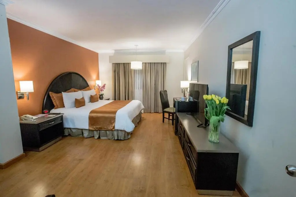 Standard Double room (full double bed)