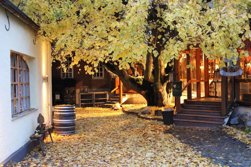 Lindenhof Landgasthof - Général