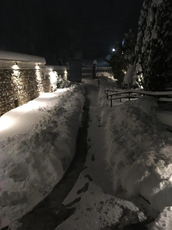 Image 19