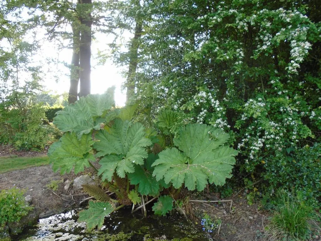 Voir la photo 3 — Le Colombier