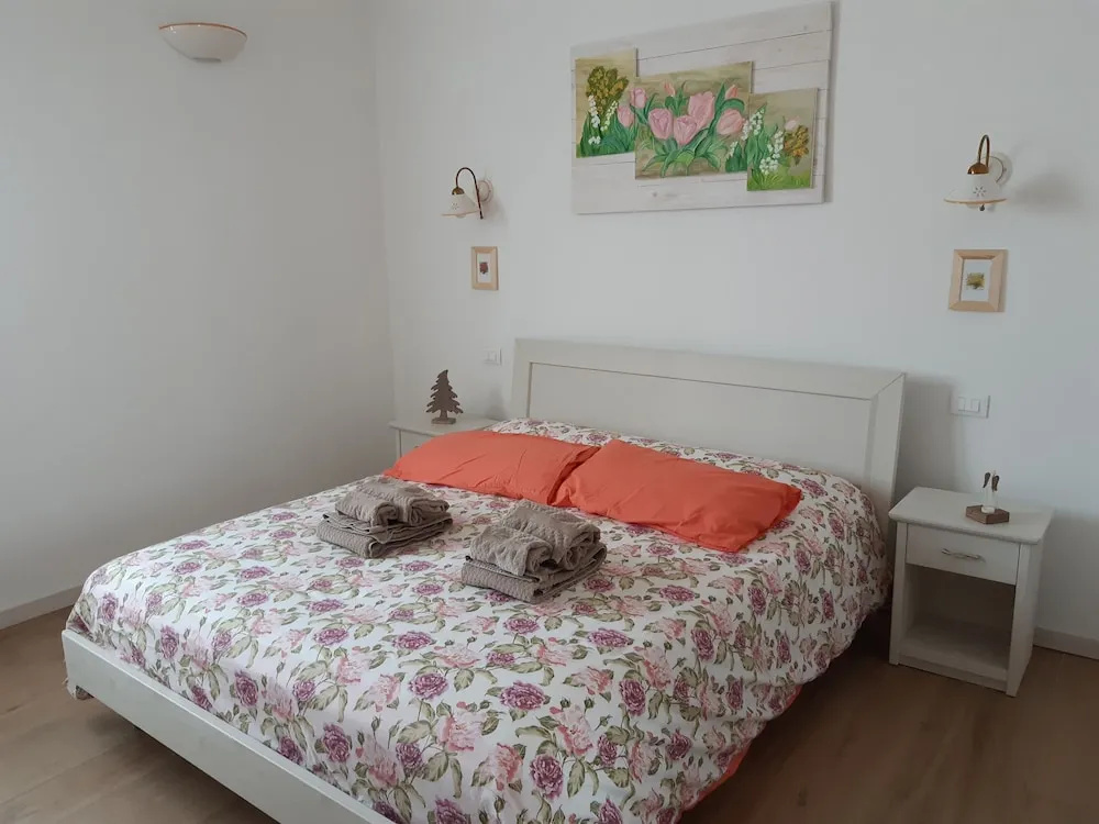 Standard Double room with mountain view (full double bed)