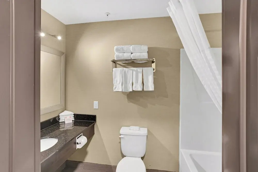 Duvernay Inn & Suites - фото 8