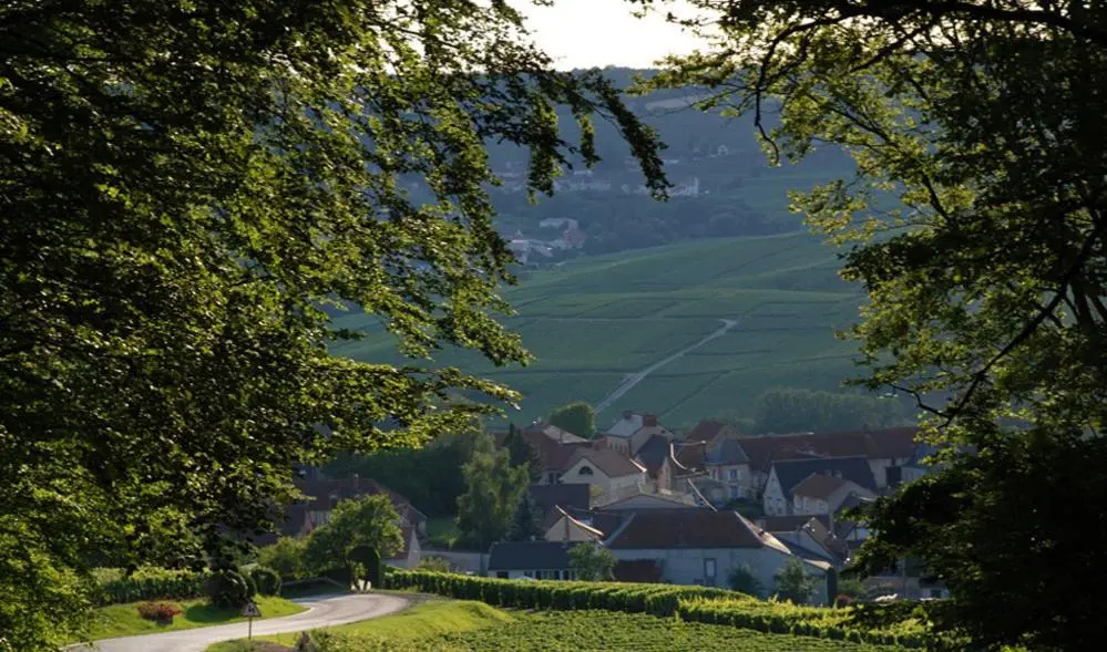 Gite du " bas du cru "