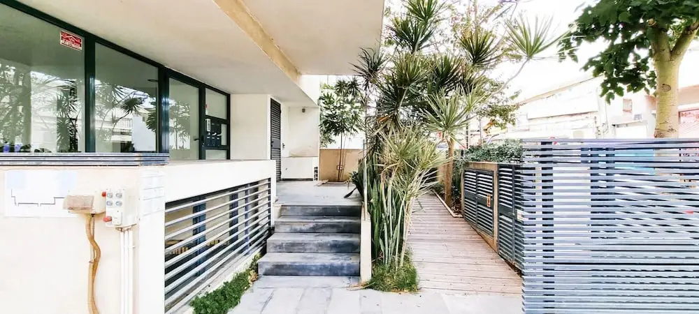 Kalisher Ophrys in Tel Aviv-yafo
