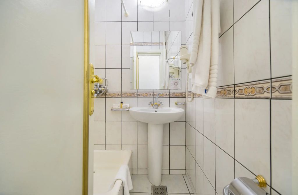 Hotel Imparatul Romanilor - Général