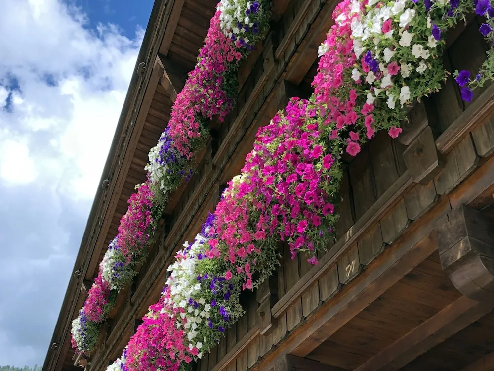 Alpenhotel Tirolerhof - Chambres
